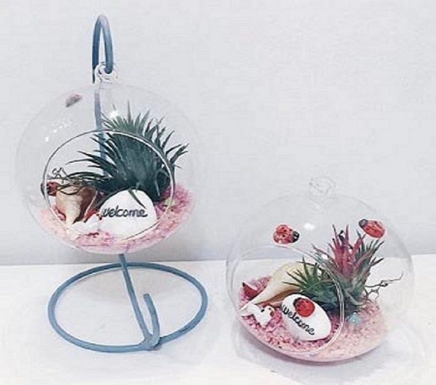 model of airplant