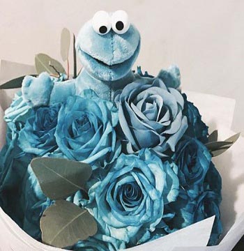 Cookie monster bouquet